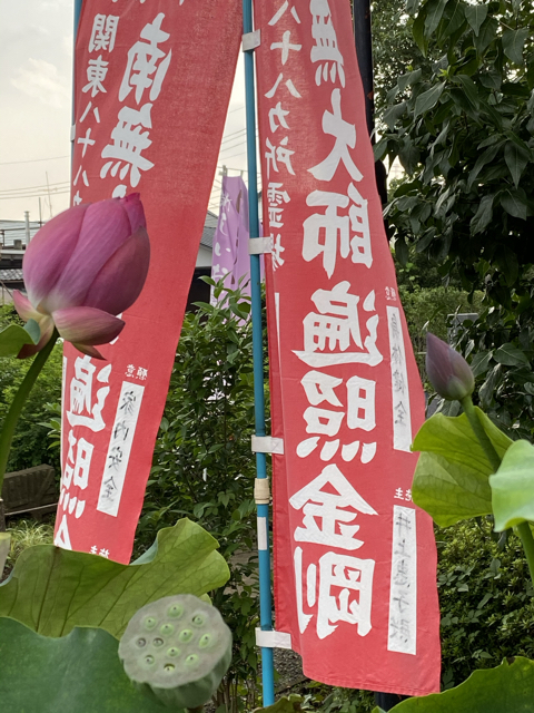 1AD98715-1299-4B90-90A9-44568C07D2A9.jpg