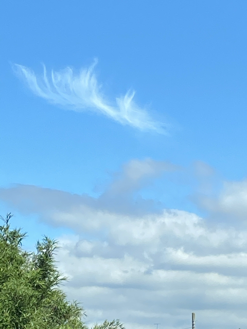 701EC478-C192-41AF-AEC0-582B2F39314D.jpg