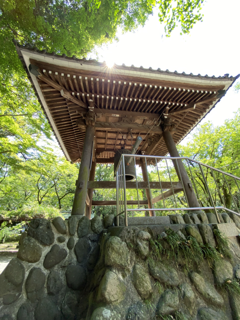D8481C08-2548-475D-A9CA-58FD00B5E85C.jpg